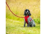 Mountain Paws Dog Harness - Red